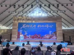 新疆：“石榴花开 籽籽同心”铸牢中华民族共同体意识网络主题活动启动
